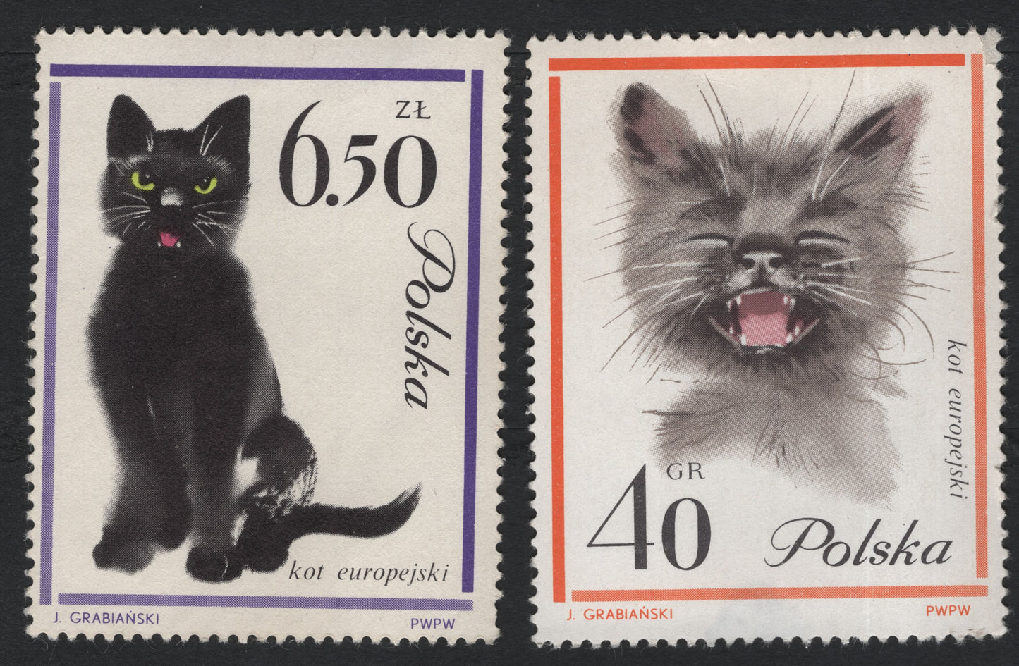 SCG5902 - Poland 1971 – European Cat Series (Kot Europejski)