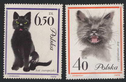 SCG5902 - Poland 1971 – European Cat Series (Kot Europejski)