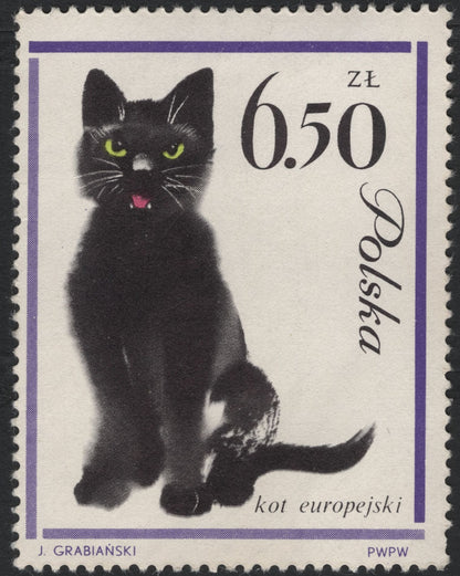 SCG5902 - Poland 1971 – European Cat Series (Kot Europejski)