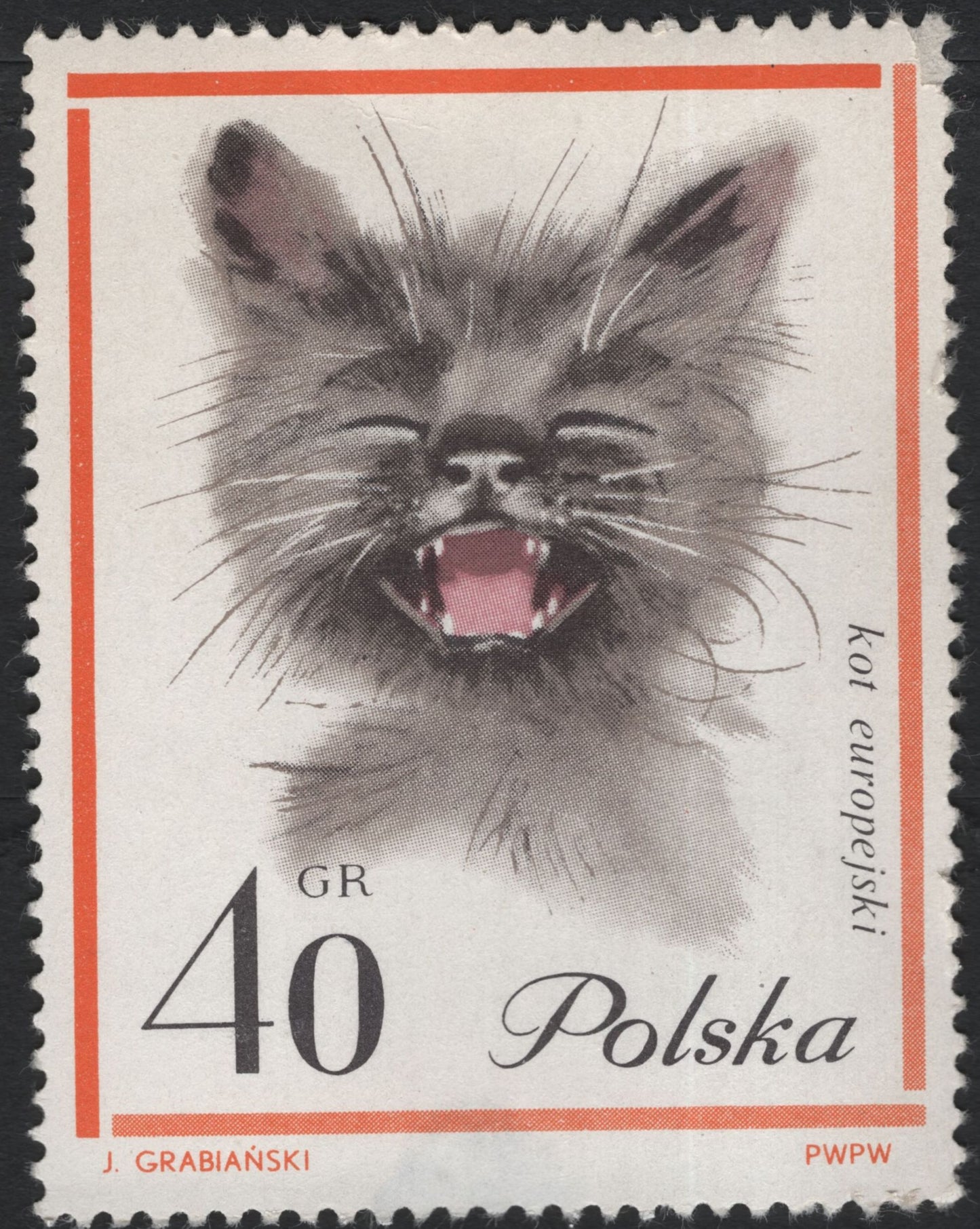 SCG5902 - Poland 1971 – European Cat Series (Kot Europejski)