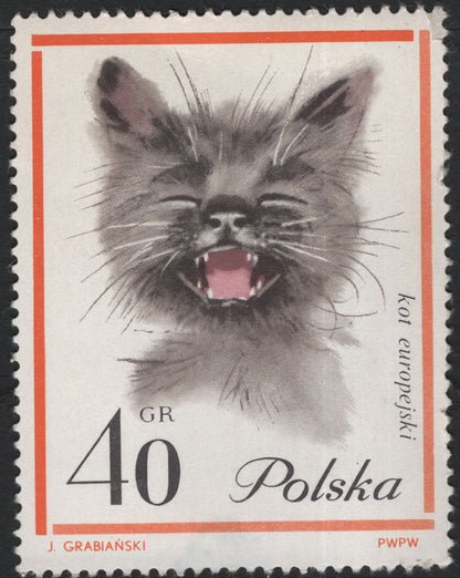 SCG5902 - Poland 1971 – European Cat Series (Kot Europejski)