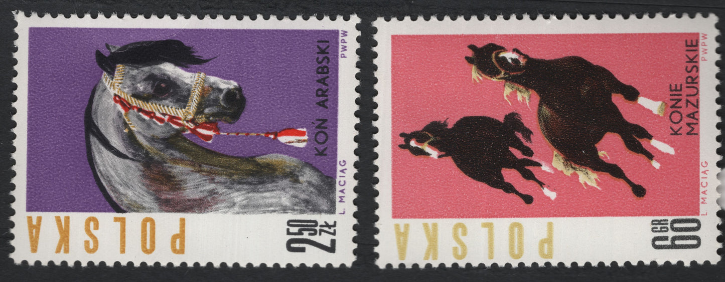 SCG5903 - Poland 1971 – Horse Breeds Series: Arabian and Mazurian Horses