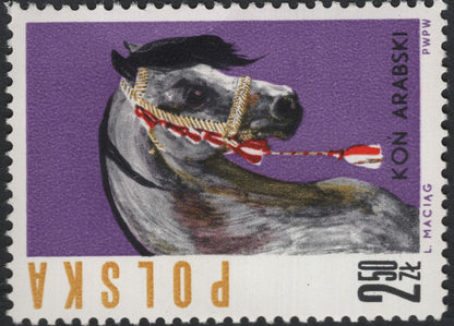 SCG5903 - Poland 1971 – Horse Breeds Series: Arabian and Mazurian Horses