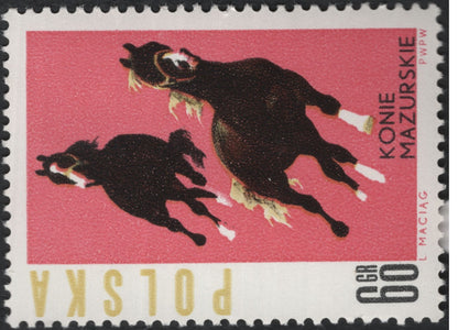 SCG5903 - Poland 1971 – Horse Breeds Series: Arabian and Mazurian Horses