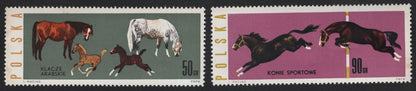 SCG5909 - Poland 1967 – Horse Breeds Series