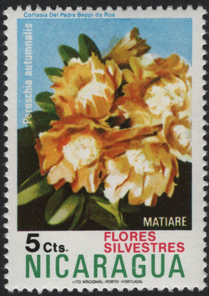 SCG5905 - Nicaragua 1960s “Flores Silvestres” – Wild Flowers Series