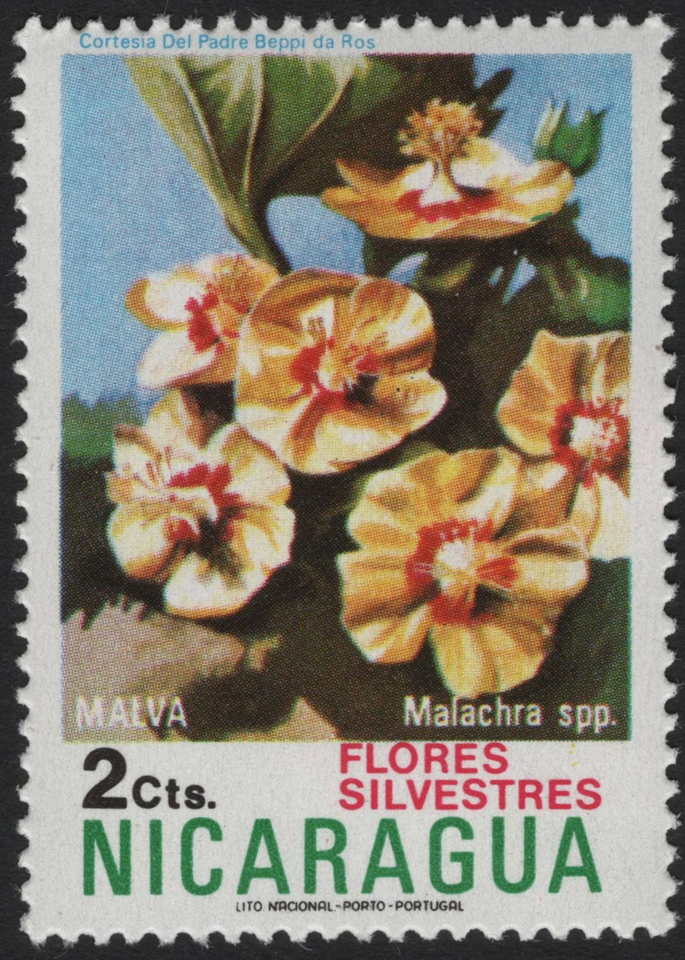 SCG5905 - Nicaragua 1960s “Flores Silvestres” – Wild Flowers Series