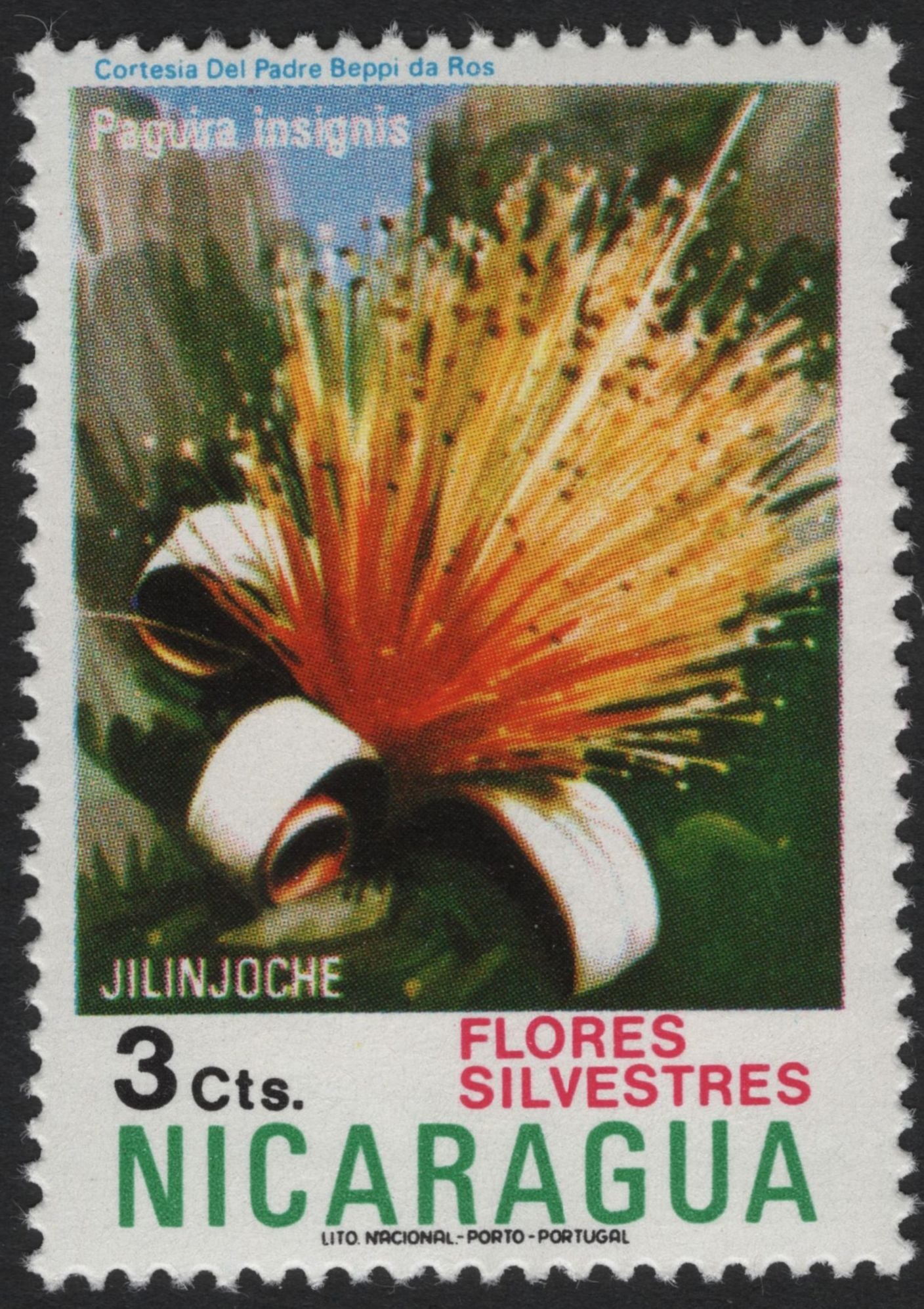 SCG5905 - Nicaragua 1960s “Flores Silvestres” – Wild Flowers Series