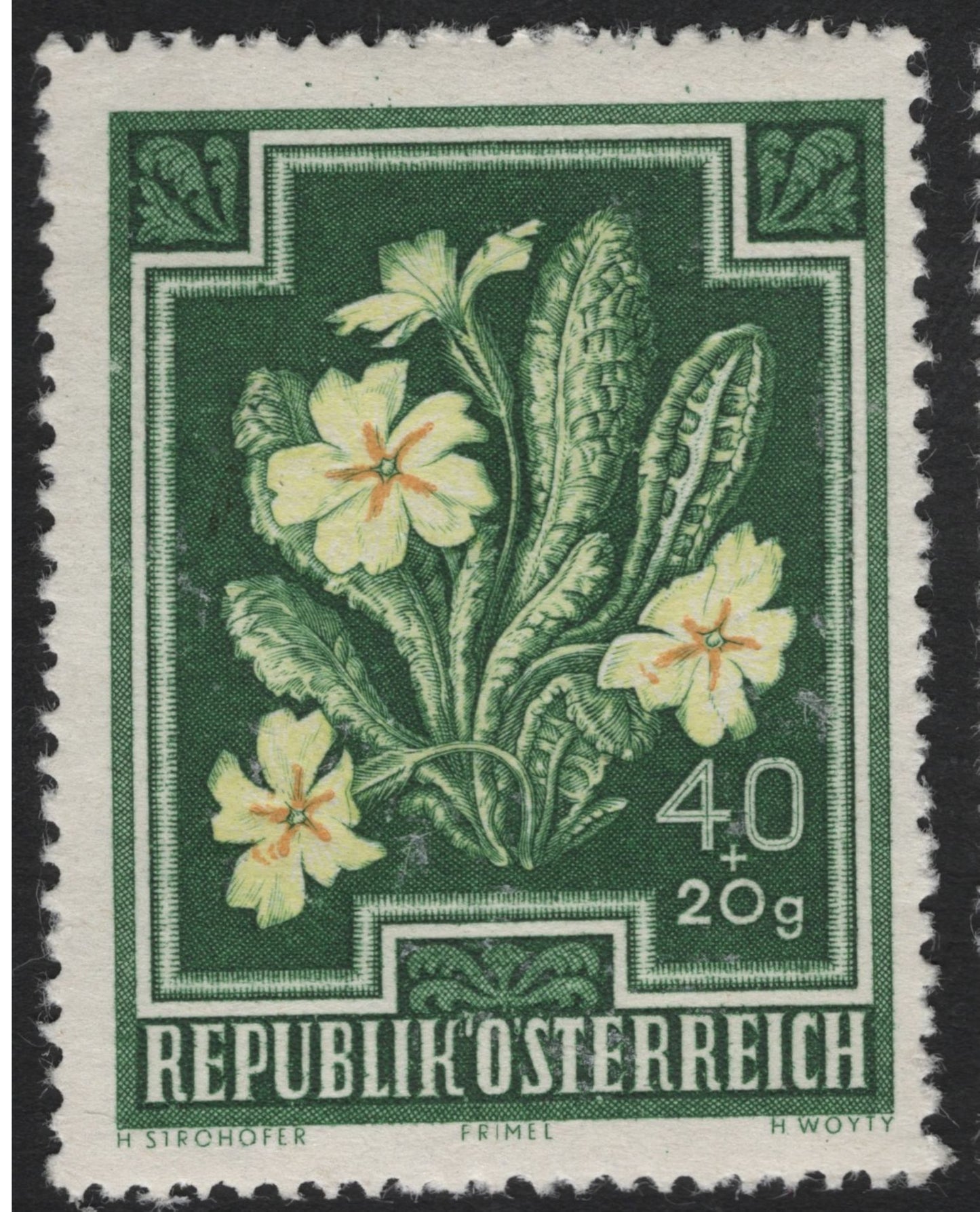 SCG5908 - 🇦🇹 Austria – Alpine Flowers Semi-Postal Set