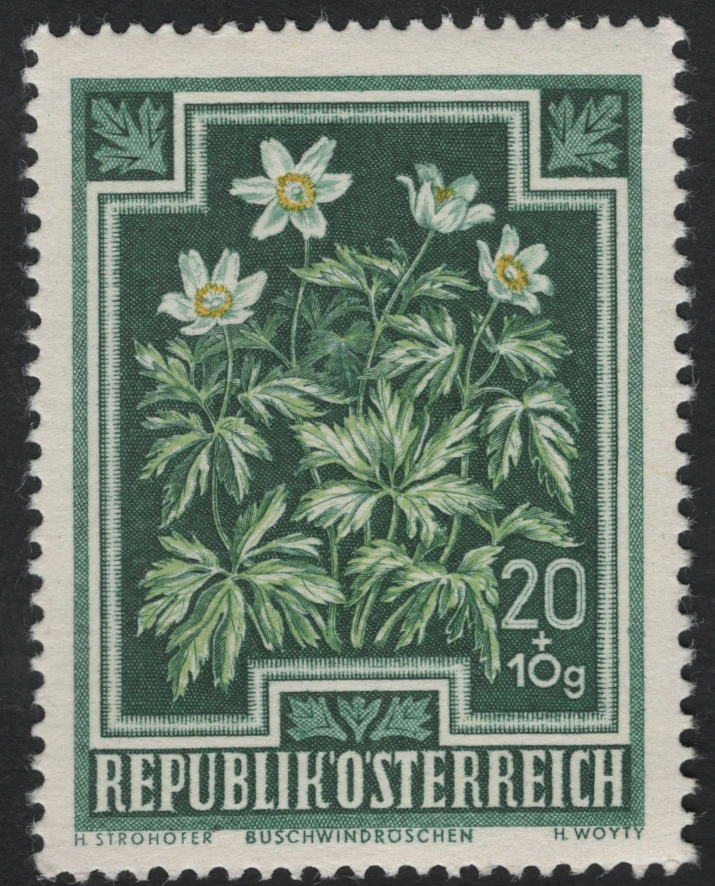 SCG5908 - 🇦🇹 Austria – Alpine Flowers Semi-Postal Set