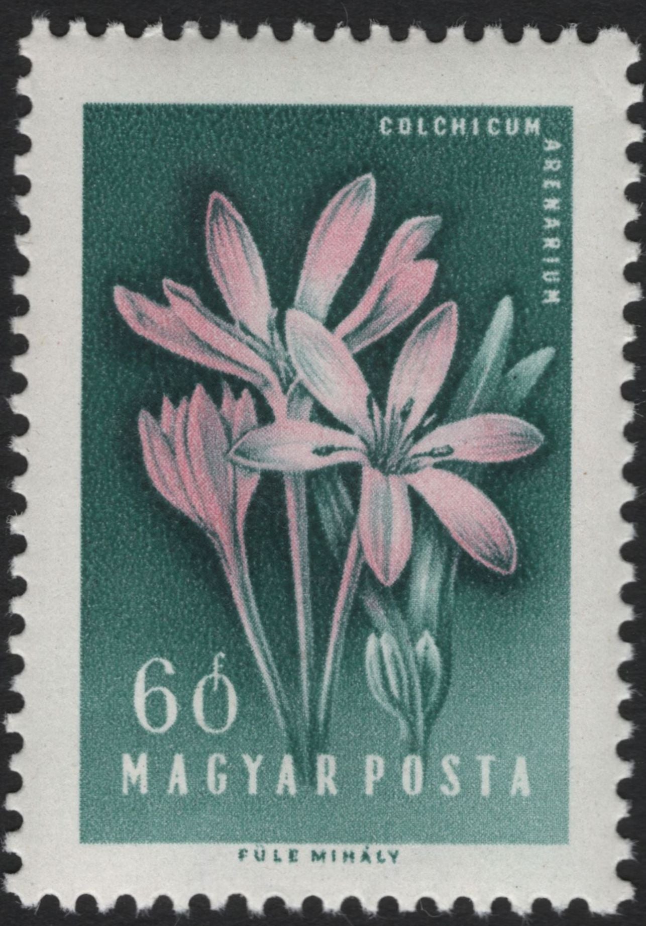 SCG5940 - Hungary 1962 – Medicinal Plants Definitive Series