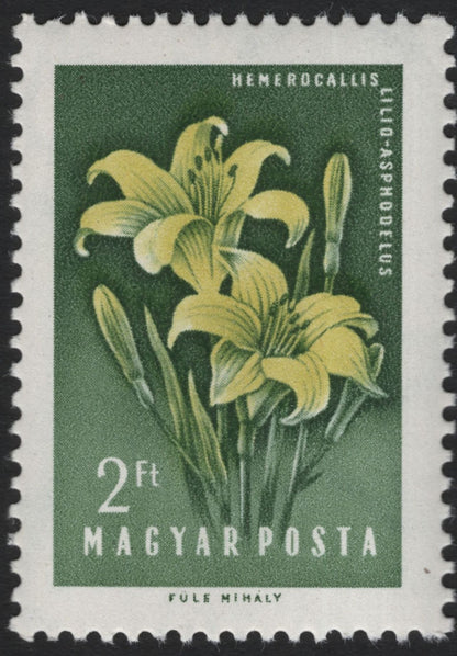 SCG5940 - Hungary 1962 – Medicinal Plants Definitive Series