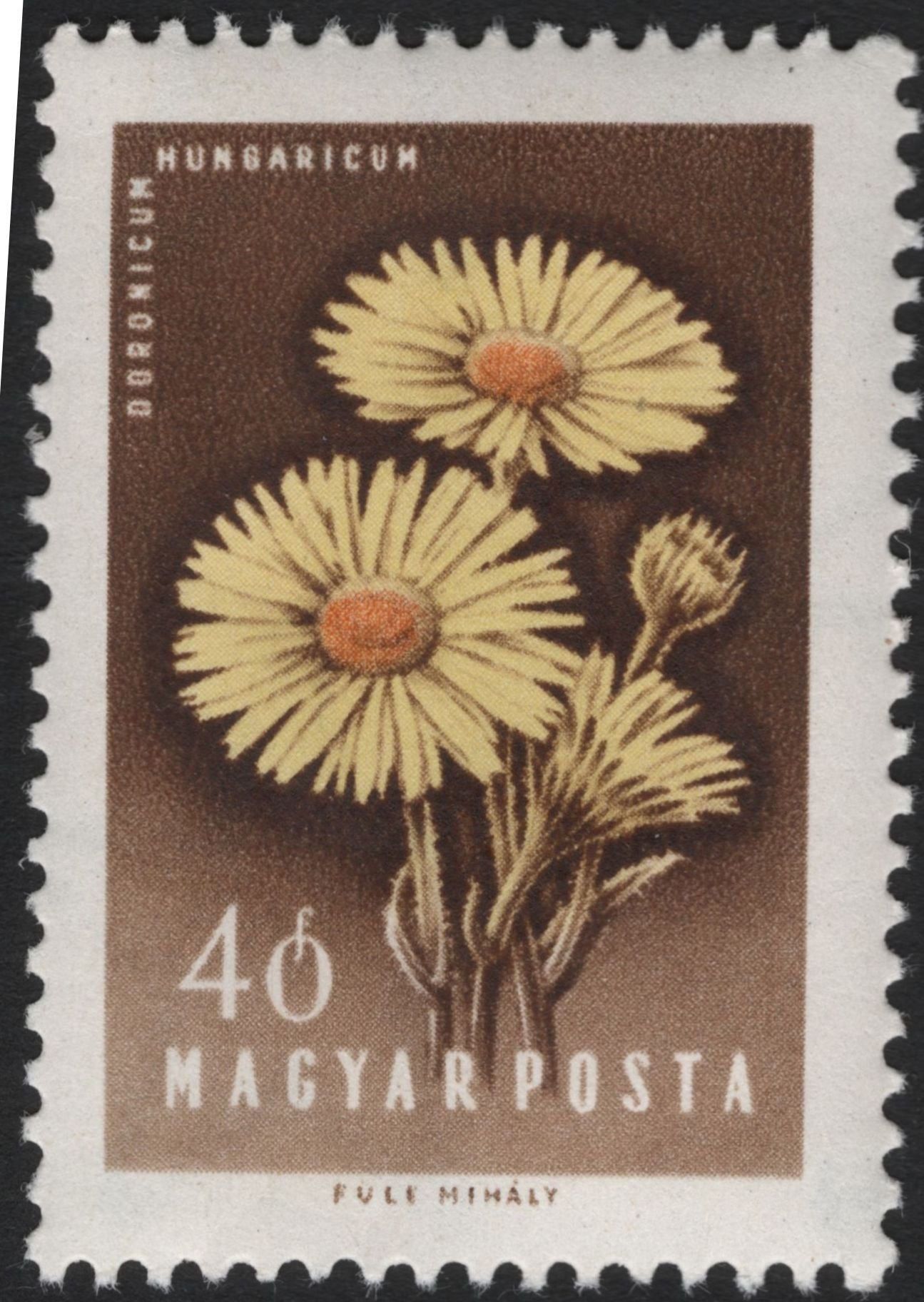 SCG5940 - Hungary 1962 – Medicinal Plants Definitive Series
