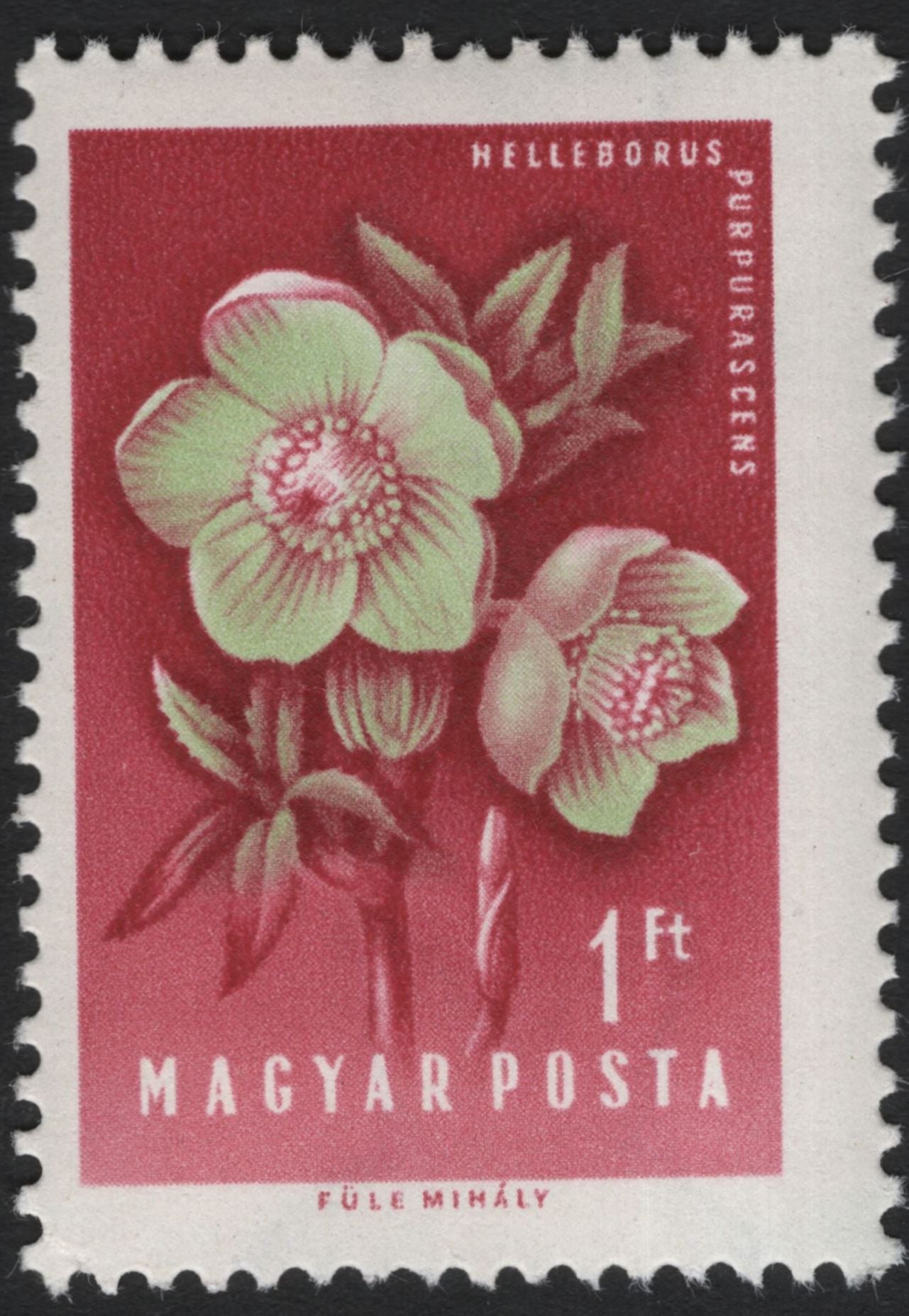 SCG5940 - Hungary 1962 – Medicinal Plants Definitive Series