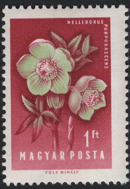 SCG5940 - Hungary 1962 – Medicinal Plants Definitive Series