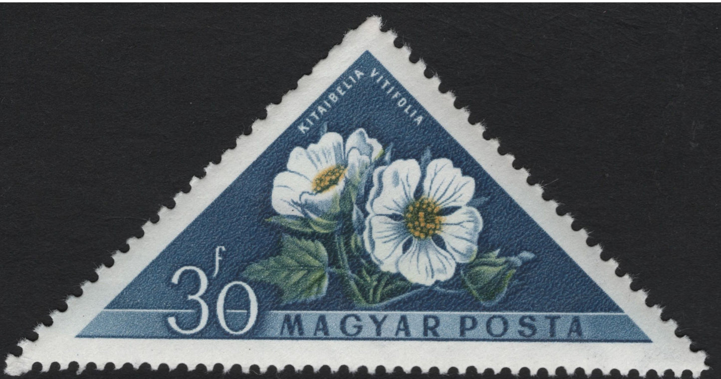 SCG5942 - Hungary 1962 – Triangular Wildflower Series