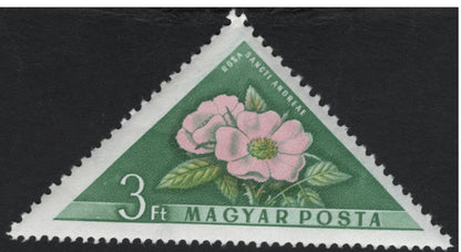 SCG5942 - Hungary 1962 – Triangular Wildflower Series
