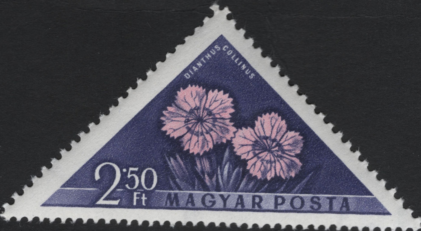 SCG5942 - Hungary 1962 – Triangular Wildflower Series