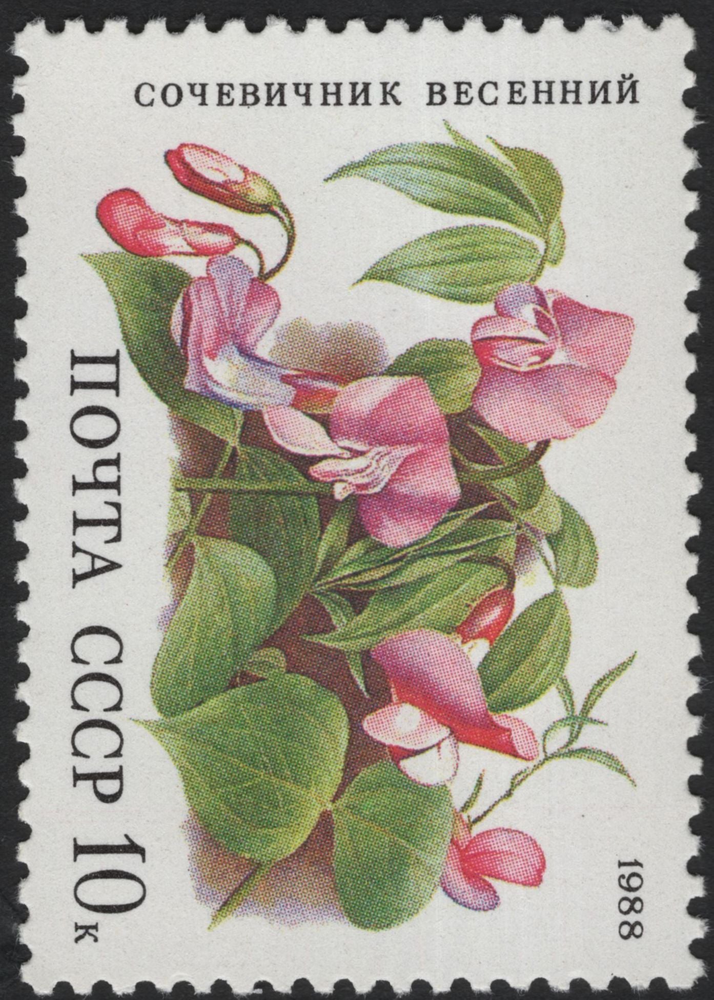 SCG5943 - USSR 1988 Wildflowers Definitive Set