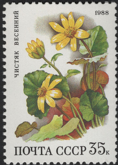 SCG5943 - USSR 1988 Wildflowers Definitive Set