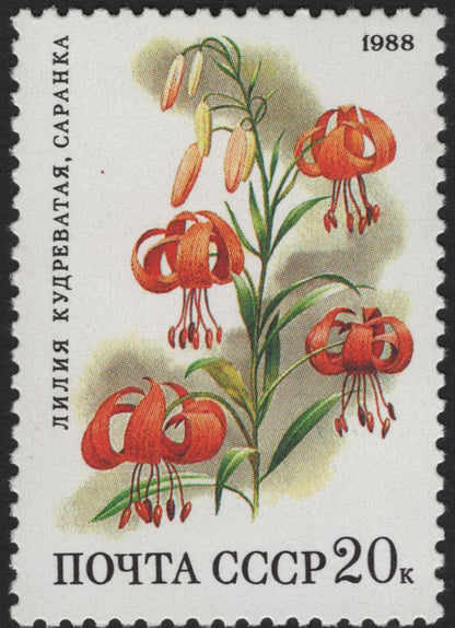 SCG5943 - USSR 1988 Wildflowers Definitive Set