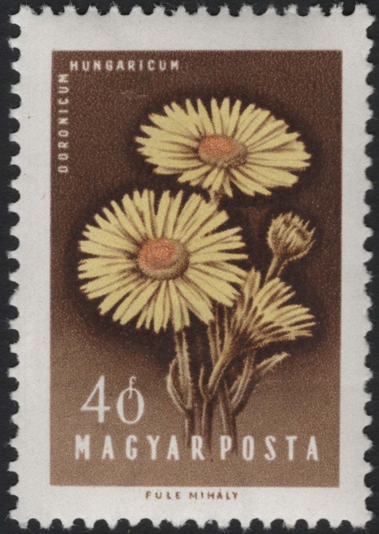 SCG6037 - Hungary 1963 – Leopard’s Bane (Doronicum) 40f