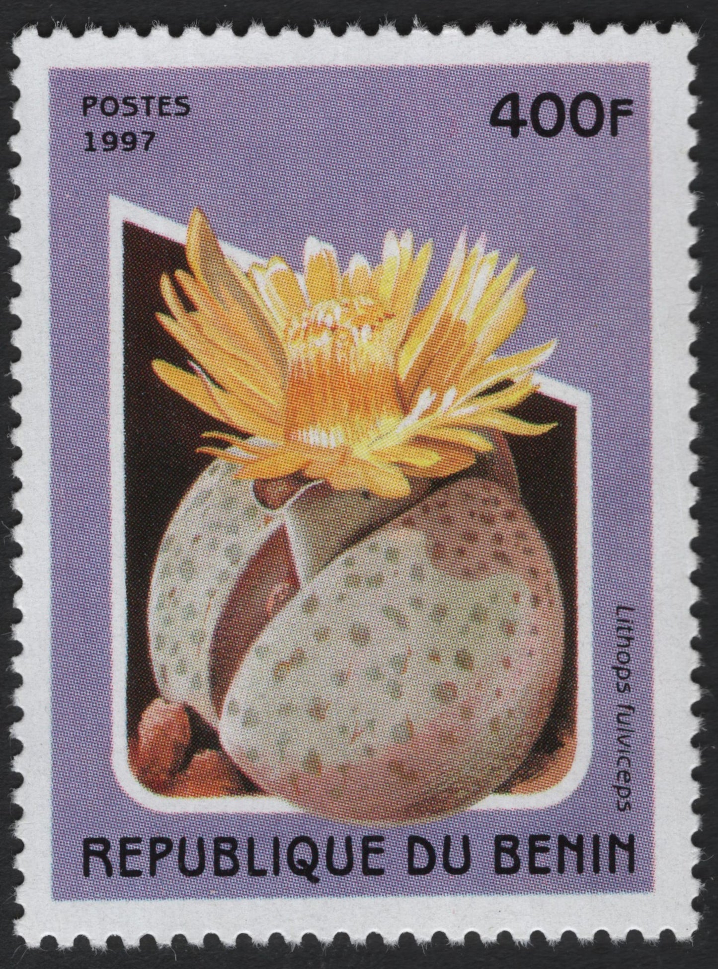 SCG6047 - Benin 1997 Lithops (Living Stone) Flower Stamp