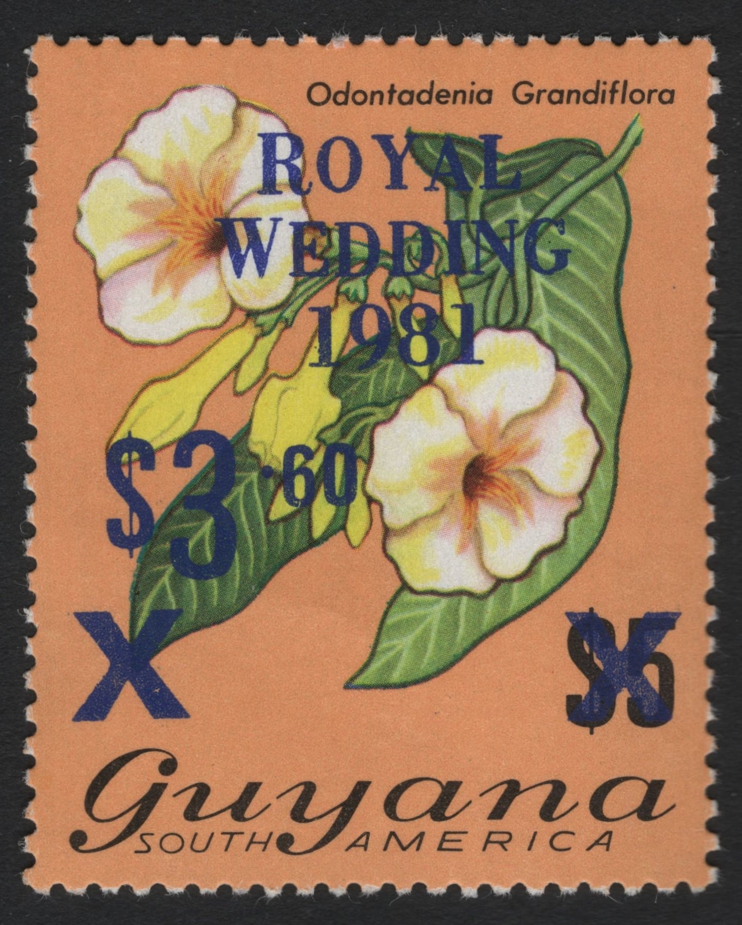 SCG6032 - Guyana 1981 Royal Wedding Surcharge – Odontadenia Grandiflora