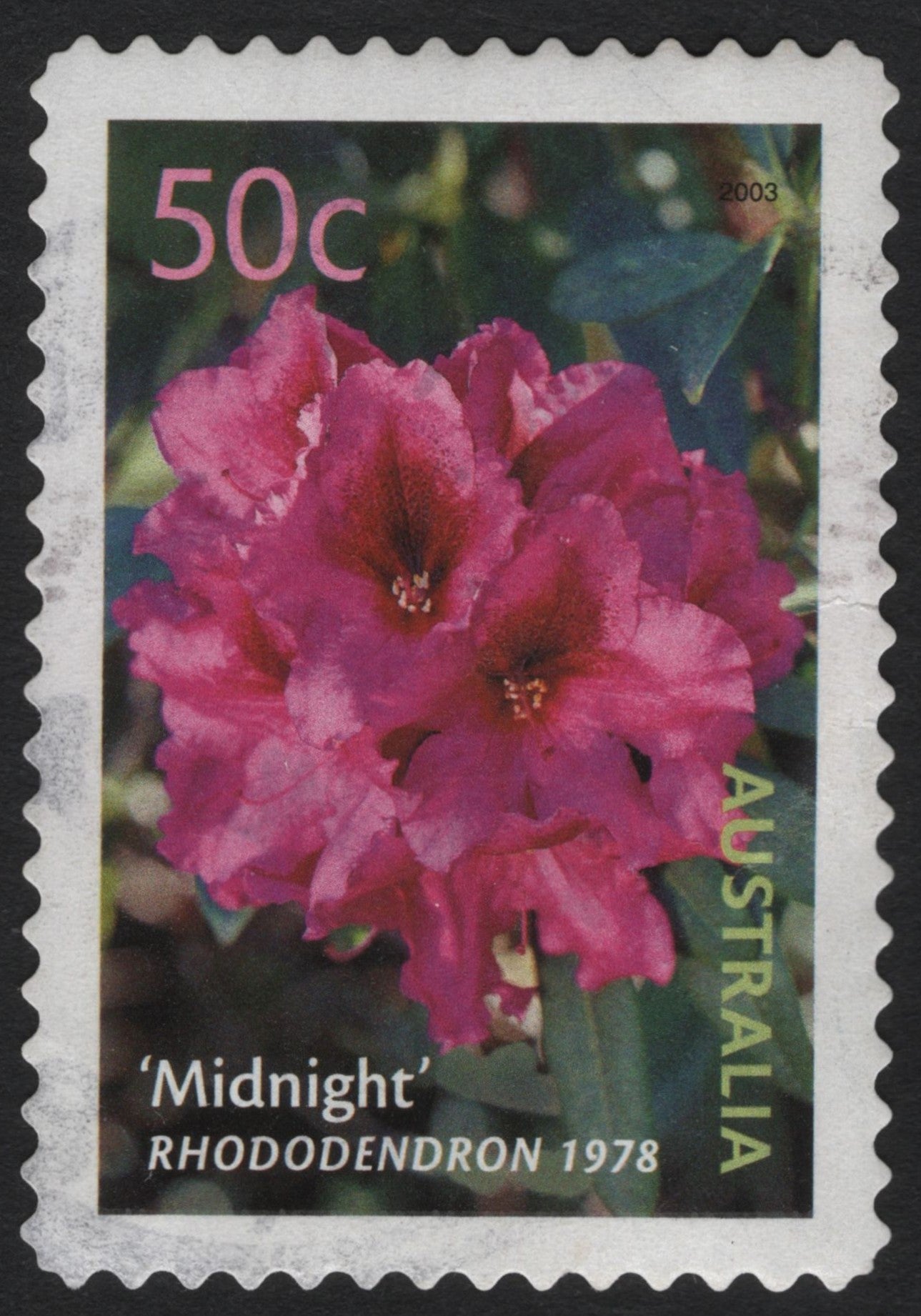 SCG6048 - Australia 2003 – Rhododendron ‘Midnight’ 50c