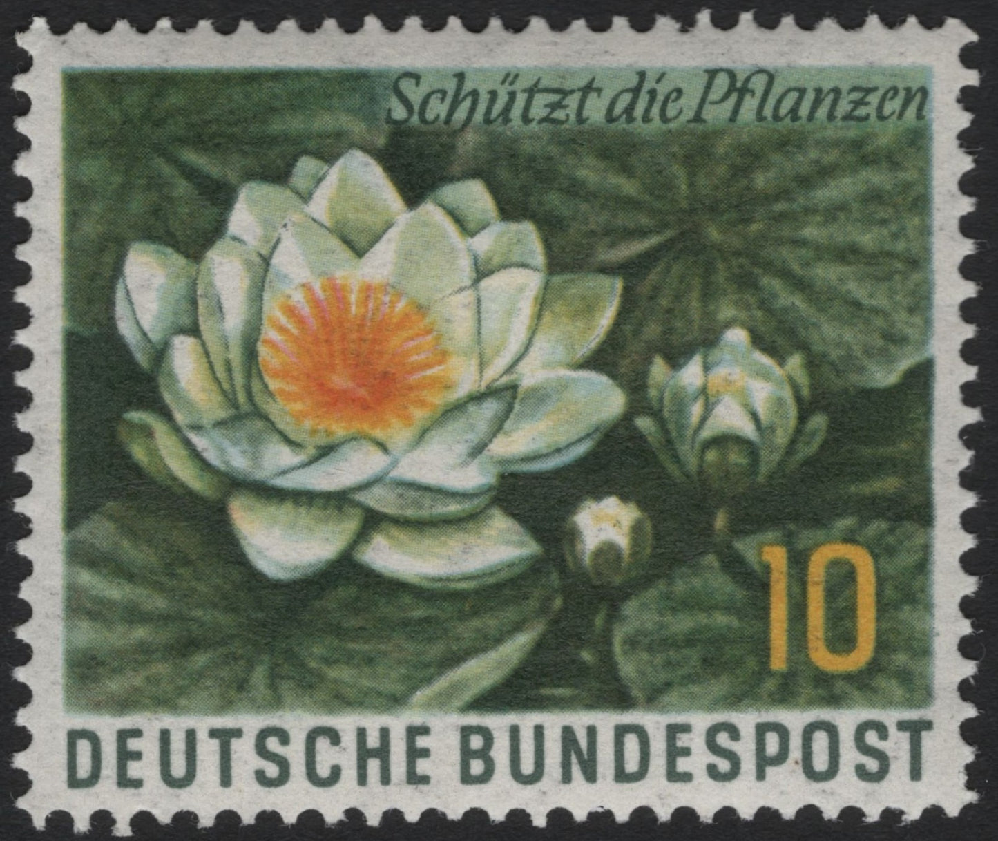 SCG6060 - Germany 1964 “Protect the Plants – White Water Lily” (Nymphaea alba)