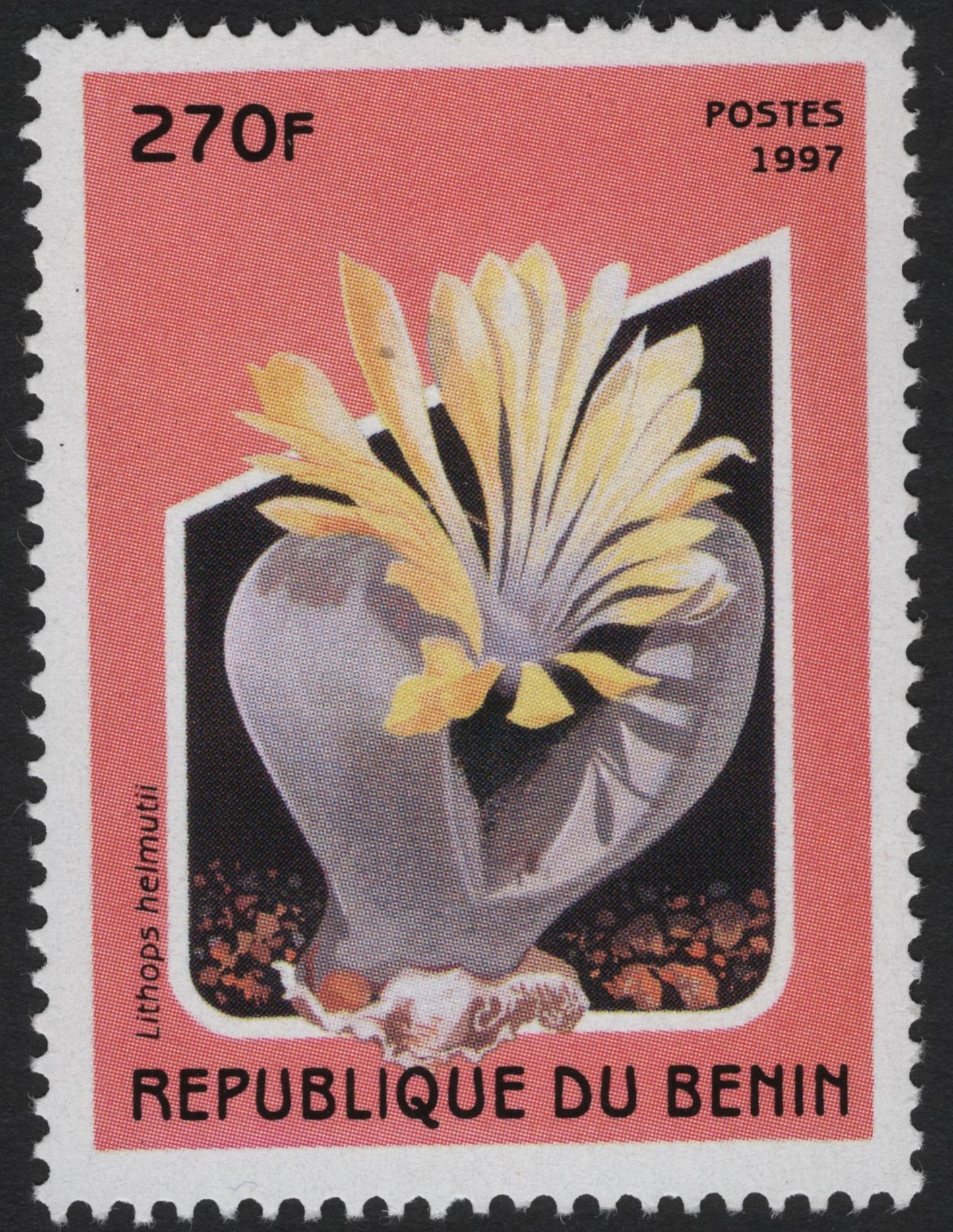 SCG6052 - Benin 1997 – Lithops helmutii Succulent Stamp