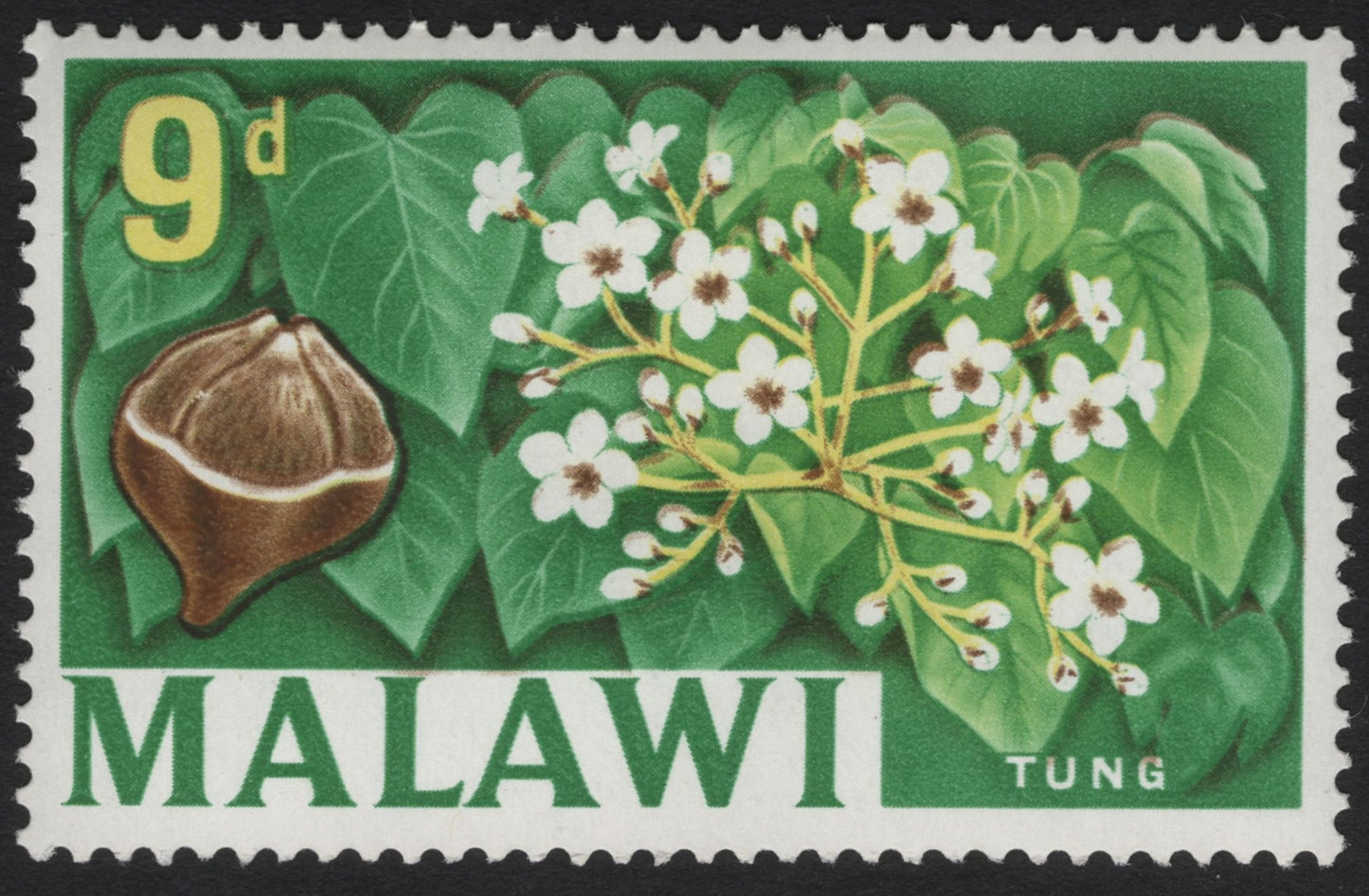 SCG6068 - Malawi 9d “Tung Tree” Definitive Stamp (1964–65 Series)