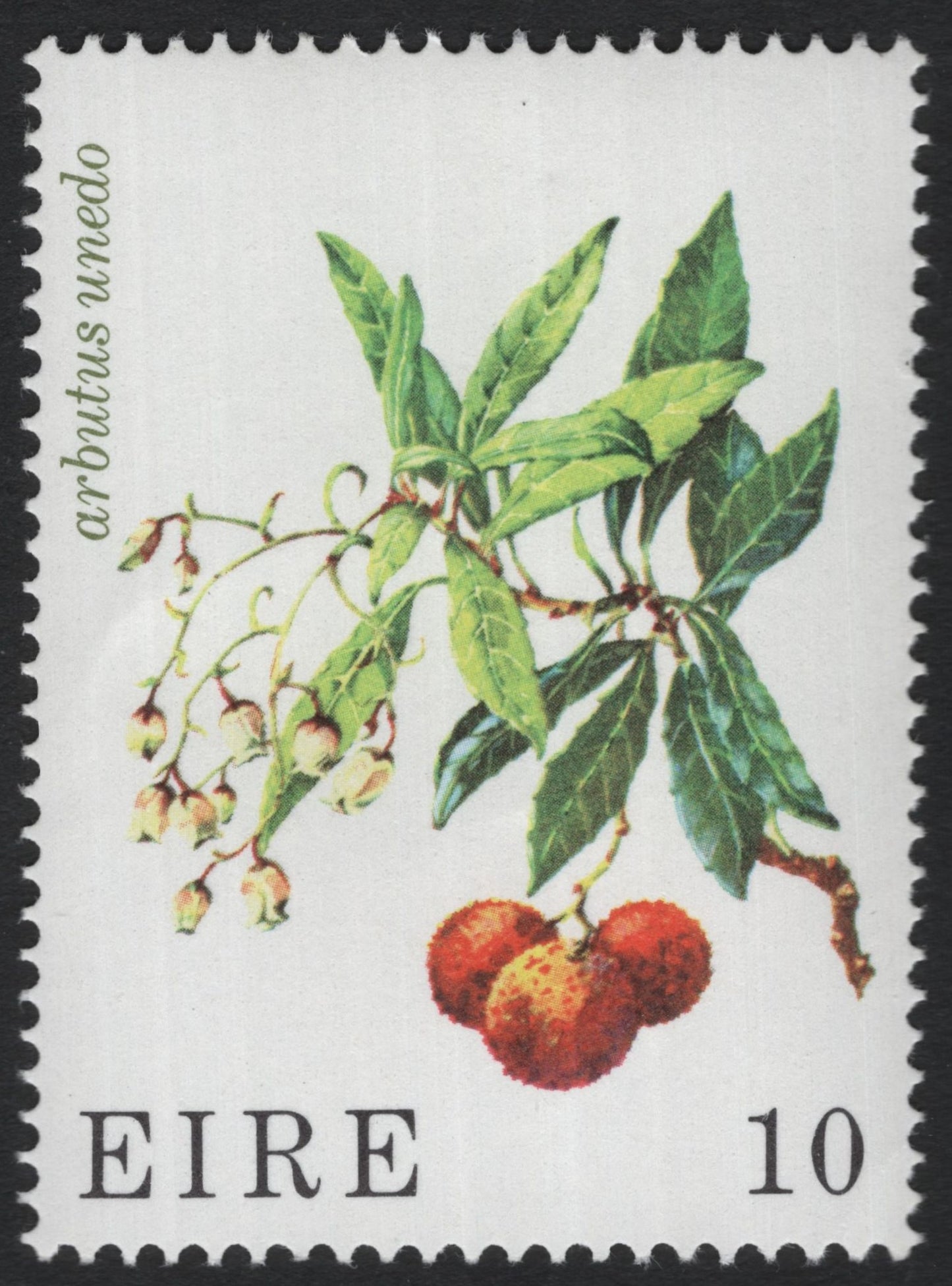 SCG6088 - Ireland 10p Arbutus unedo (Strawberry Tree) Stamp
