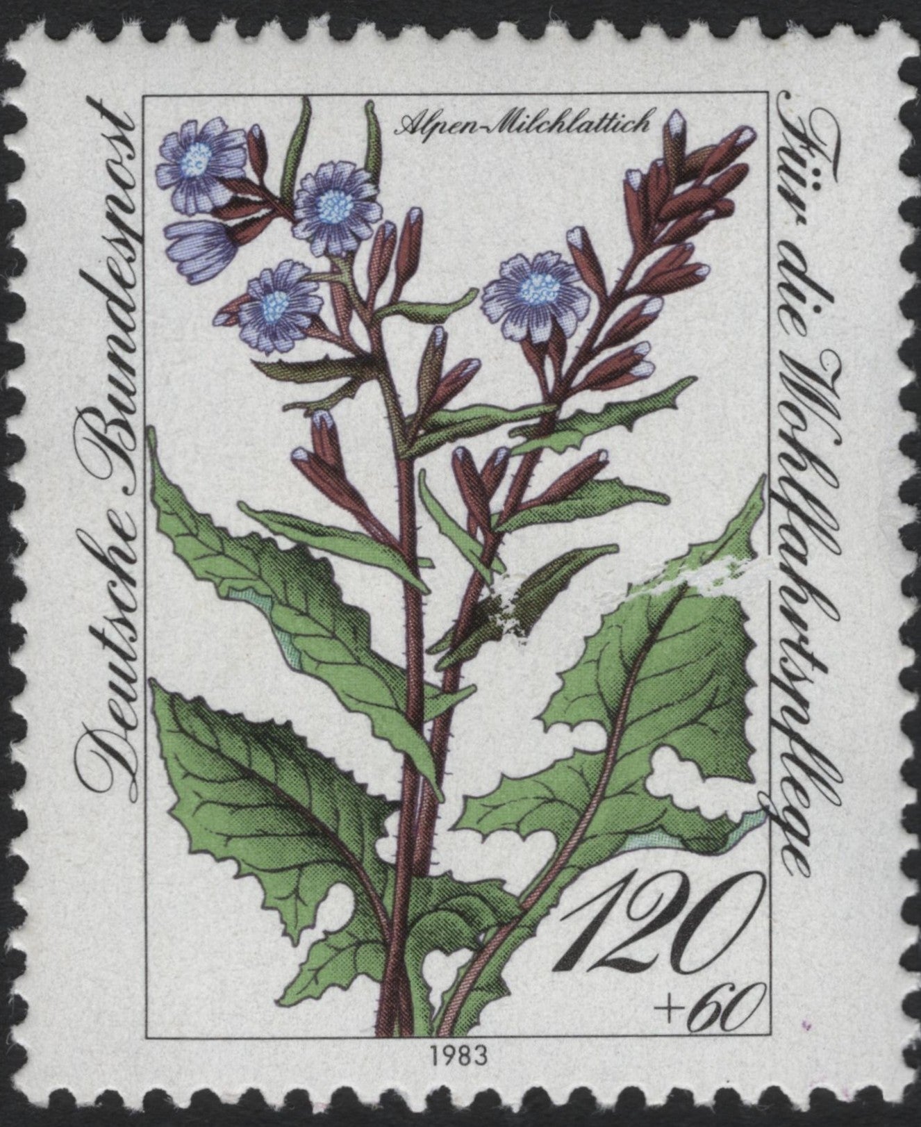 SCG6090 - Germany 1983 Alpen-Milchlattich Charity Stamp
