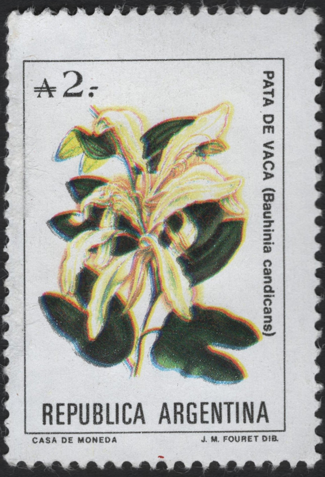 SCG6091 -Argentina 2 Peso “Pata de Vaca” (Bauhinia candicans) Stamp