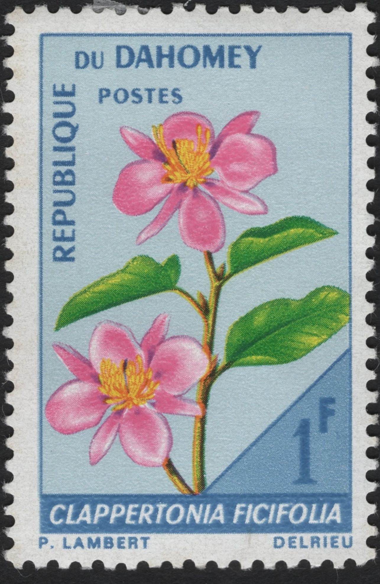 SCG6094 - Dahomey 1 Franc “Clappertonia ficifolia” (Floral Series)