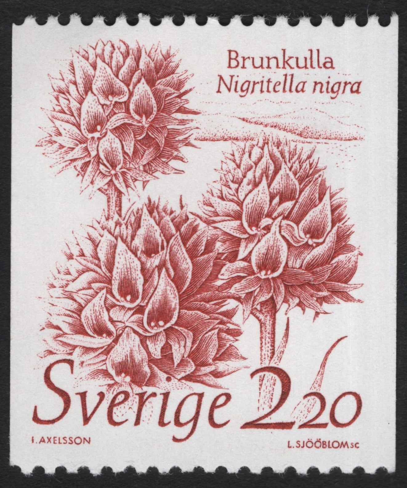 SCG6080 - Sweden 1982 – Brunkulla (Nigritella nigra) 2.20 Kr Stamp
