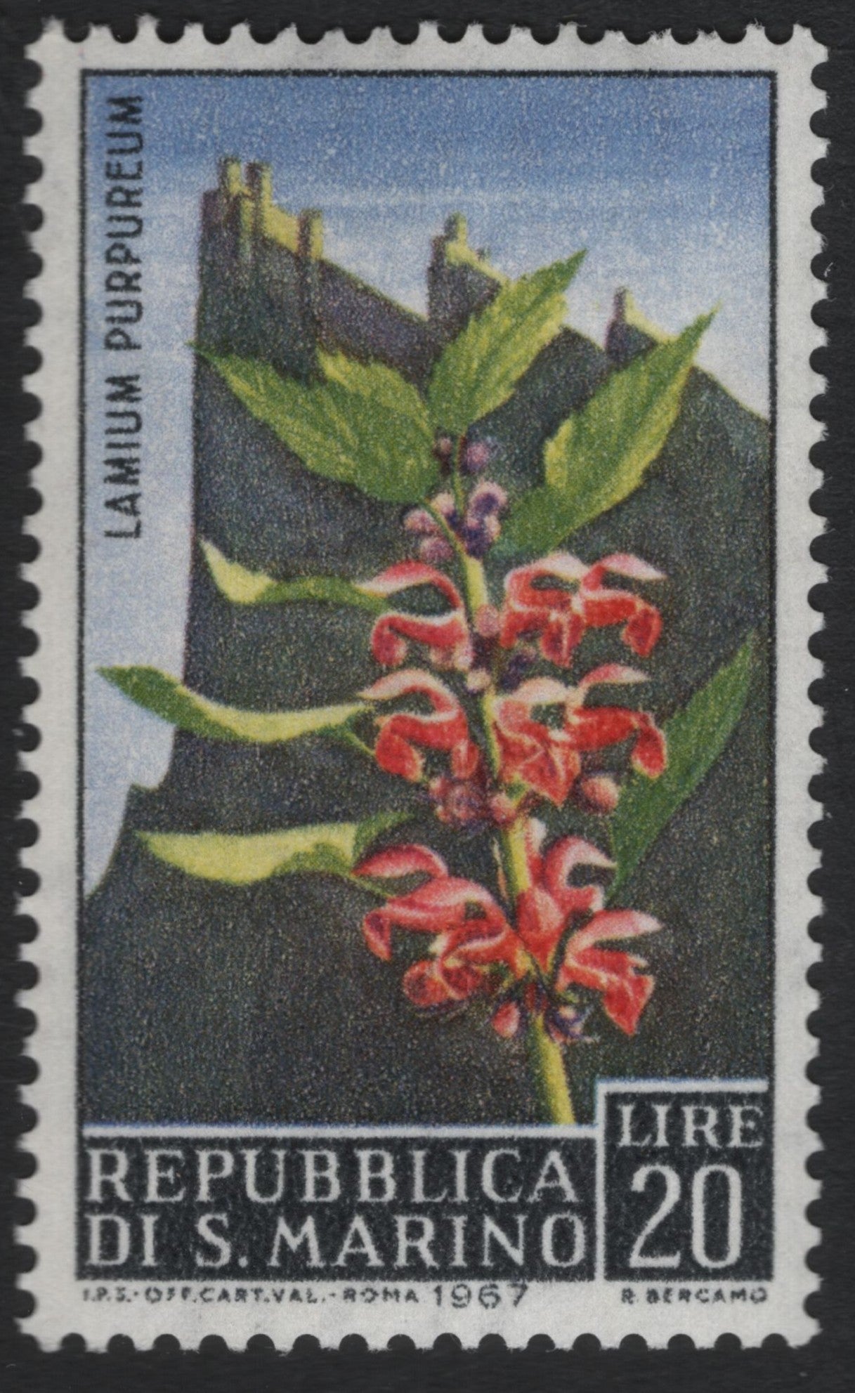 SCG6086 - San Marino 1967 – Lamium purpureum (Red Dead-nettle) 20 Lire