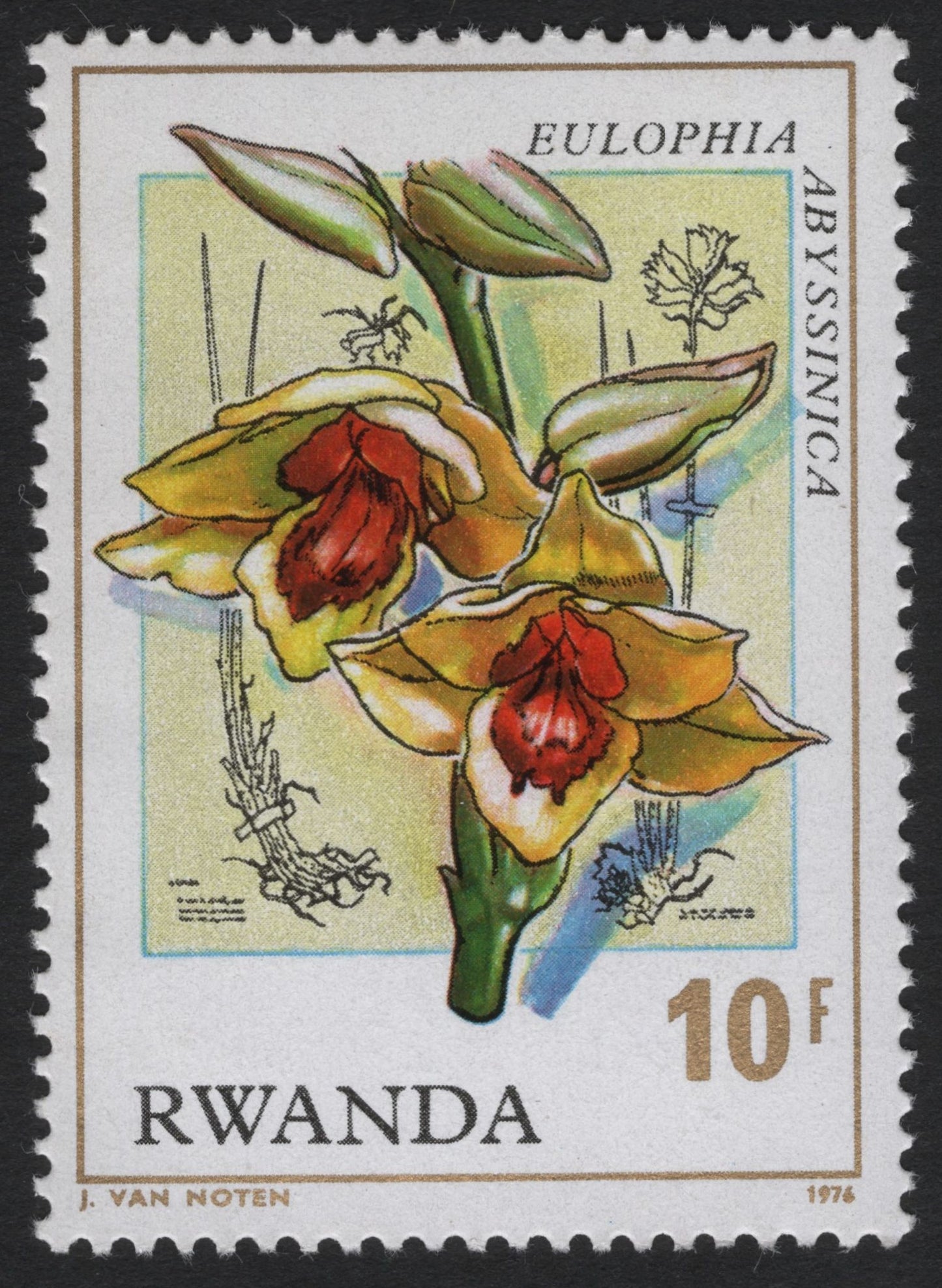 SCG6119 - Rwanda 1976 – Eulophia abyssinica Orchid