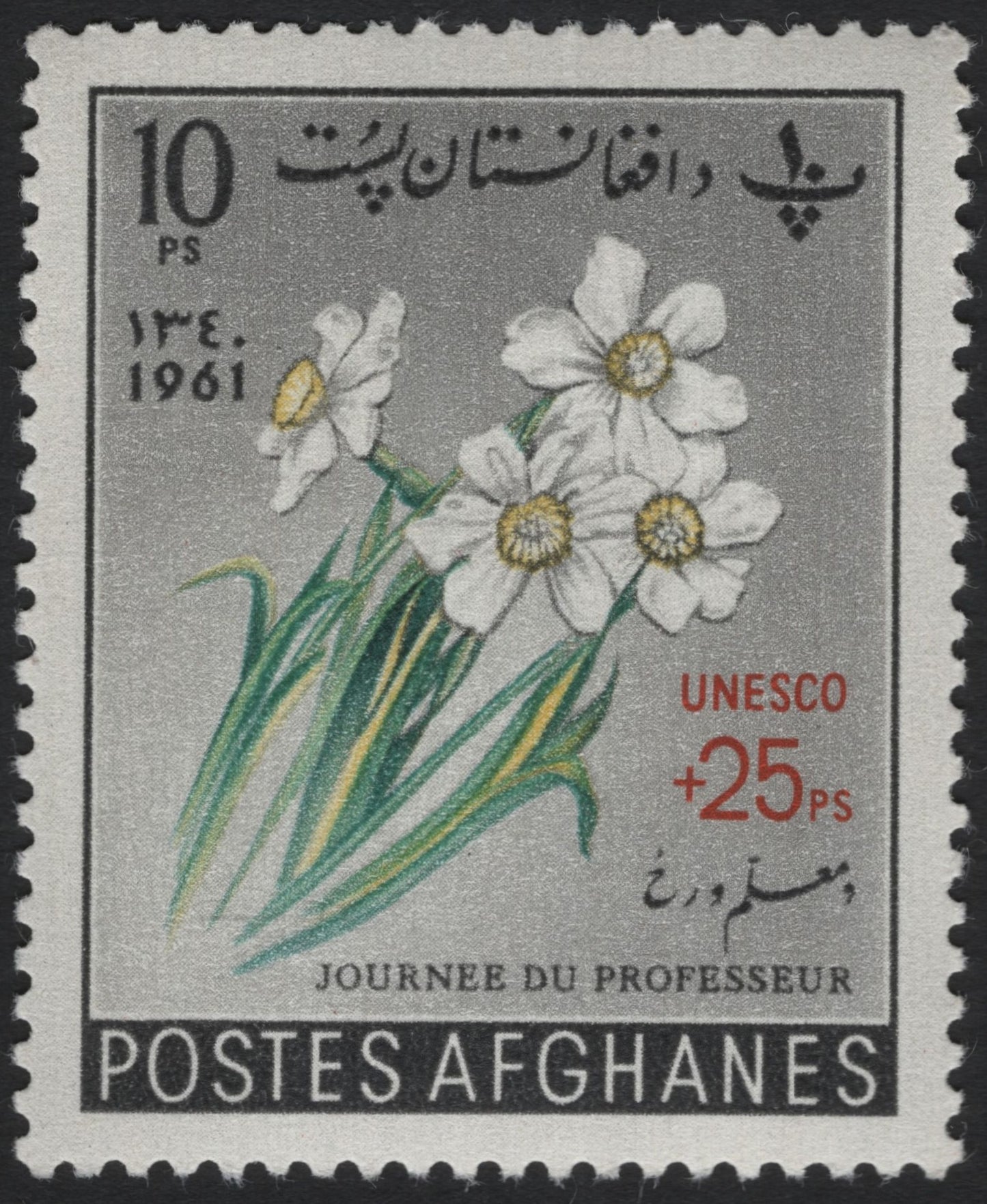 SCG6121 - Afghanistan 1961 “Teacher’s Day” Semi-Postal Stamp – Daffodil Design