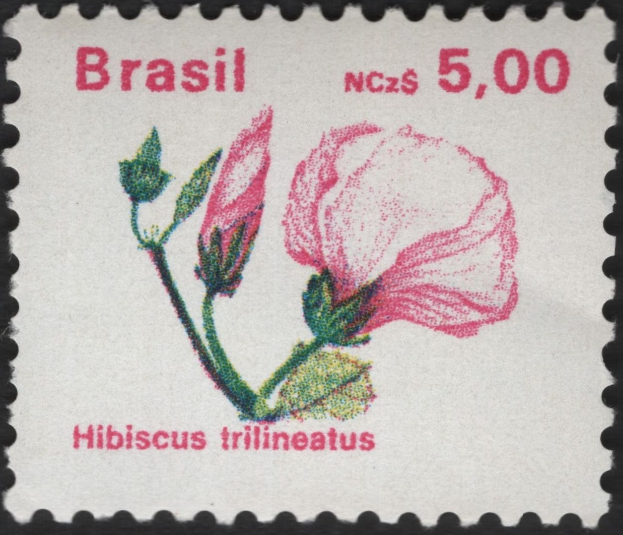 SCG6122 - Brazil 1989 – Hibiscus trilineatus Flora Issue