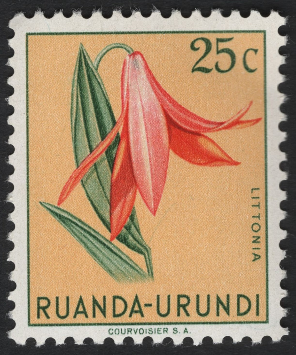 SCG6132 - Ruanda-Urundi 25c Littonia Stamp (1959)