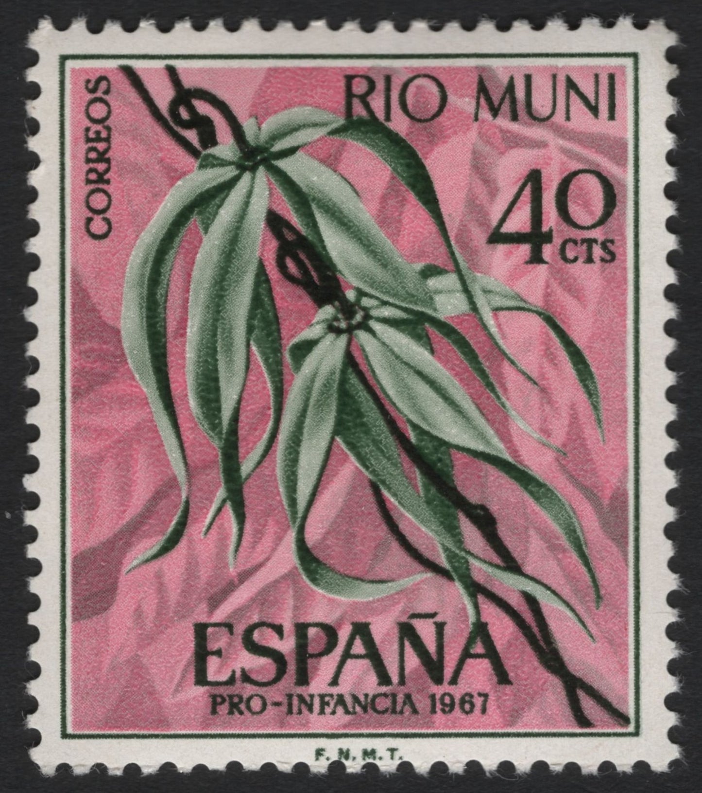 SCG6134 - Rio Muni – Pro-Infancia 1967 (40 Cts) – Botanical Issue