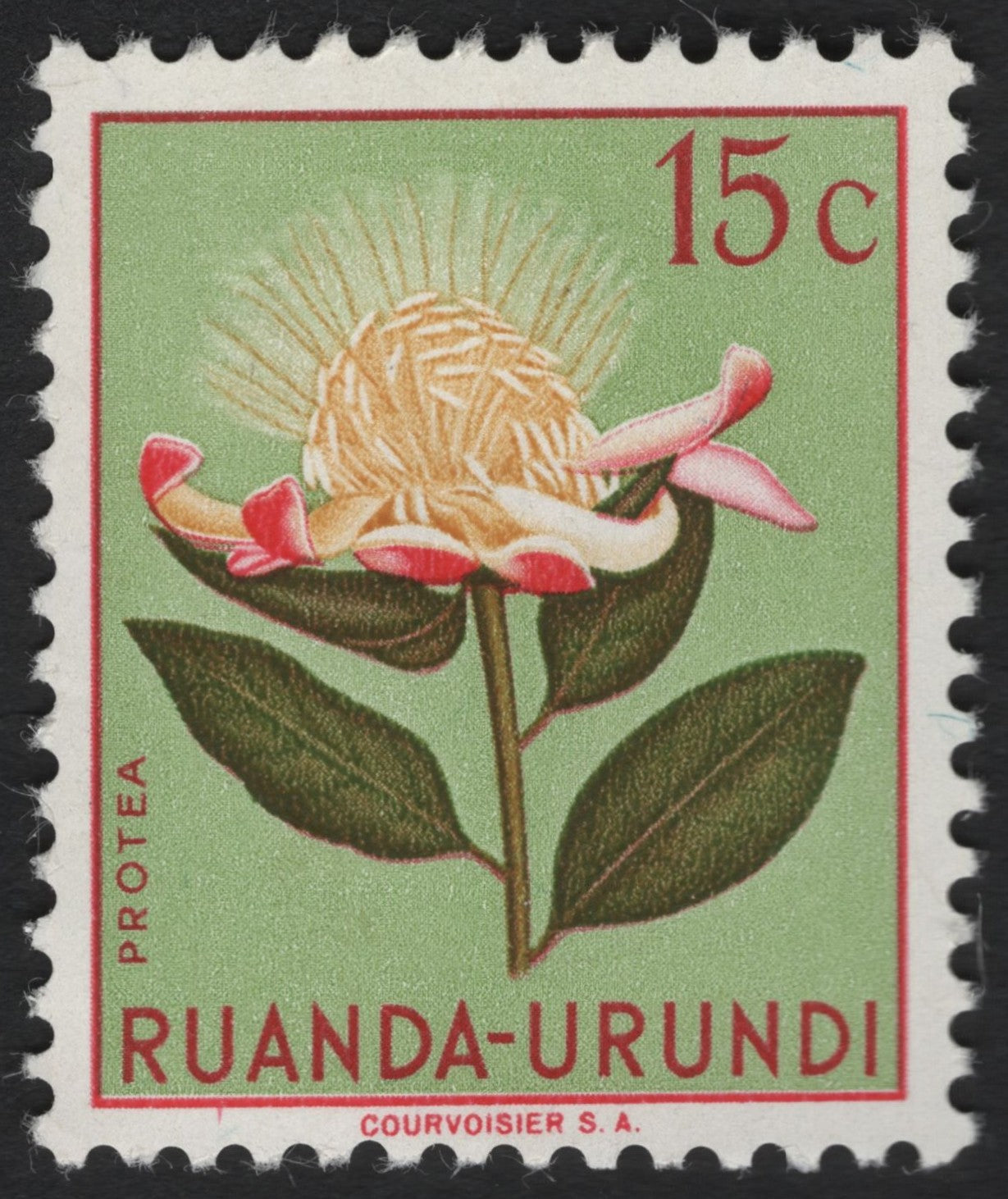 SCG6129 - Ruanda-Urundi 15 Centimes “Protea” Stamp (Courvoisier Issue)
