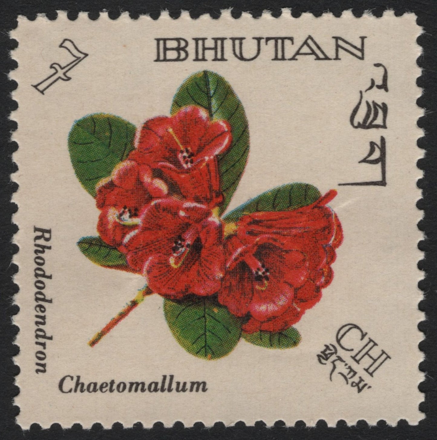SCG6142 - Bhutan 7 Chhertum Rhododendron Stamp – Rhododendron chaetomallum