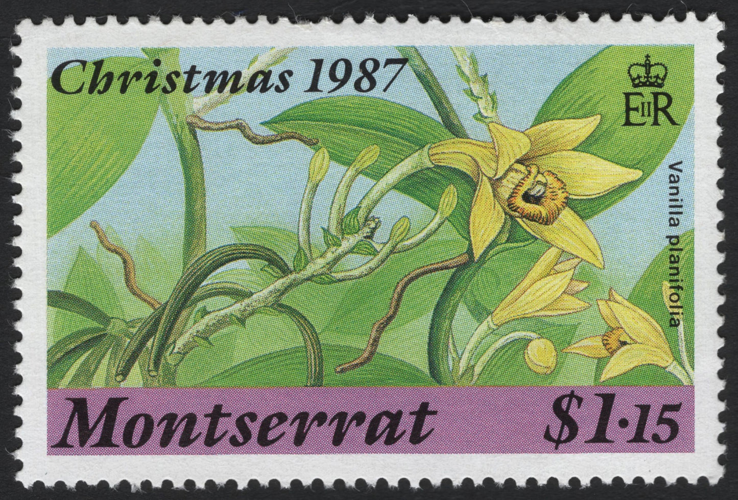 SCG6151 - Montserrat Christmas 1987 – Vanilla planifolia