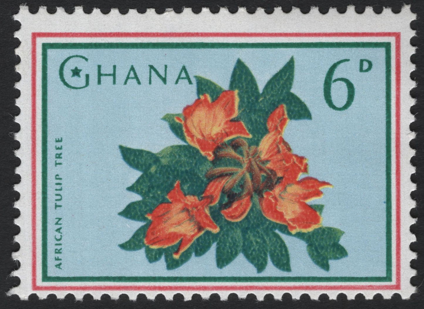 SCG6152 - Ghana 6d African Tulip Tree Stamp