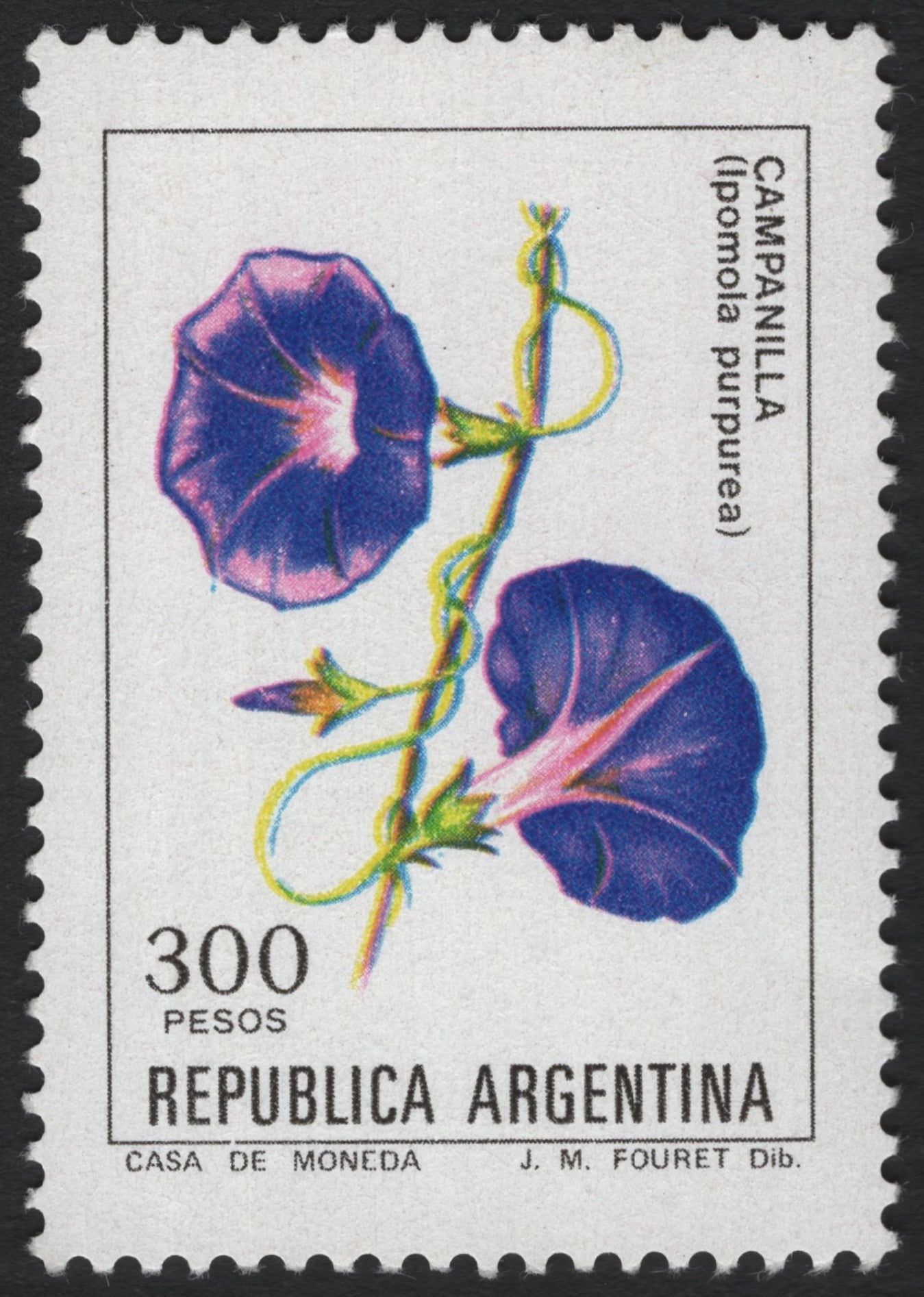 SCG6159 - Argentina 300 Pesos – Morning Glory (Ipomoea purpurea) “Campanilla”