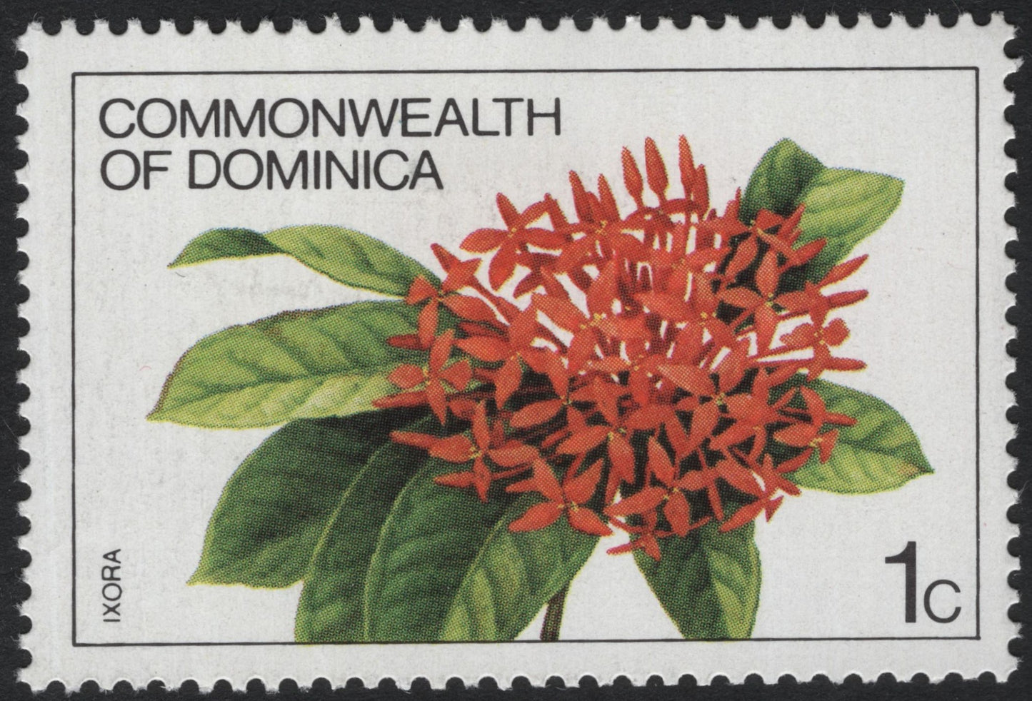 SCG6145 - Dominica 1 Cent Ixora Stamp