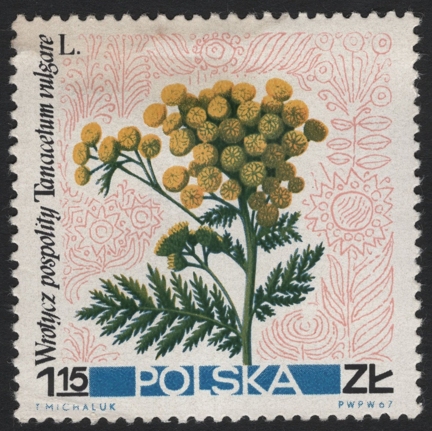 SCG6165 - Poland 1971 – Common Tansy (Tanacetum vulgare)
